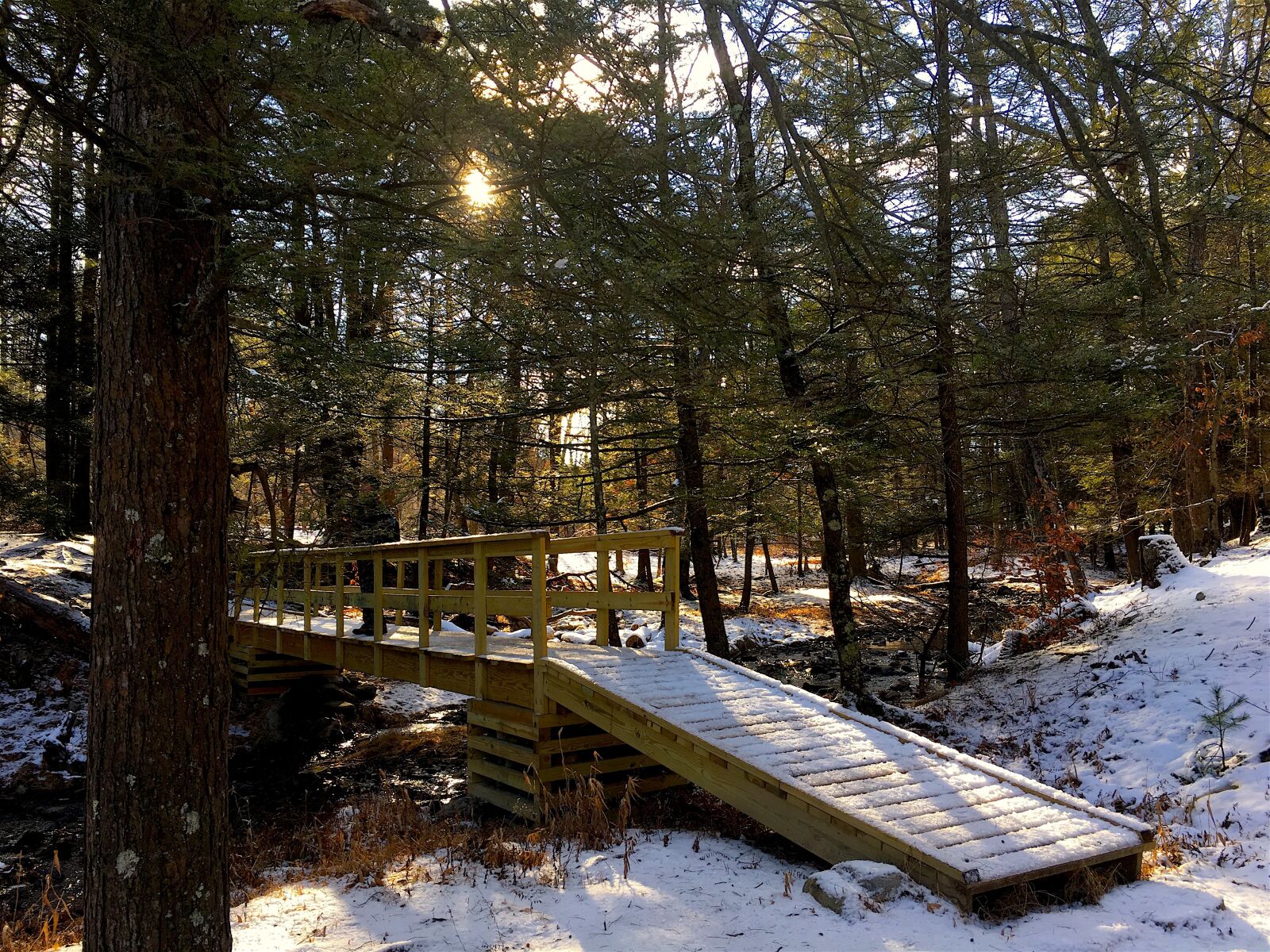 Apple iPhone 6s sample photo. Snow, bridge, forest photography