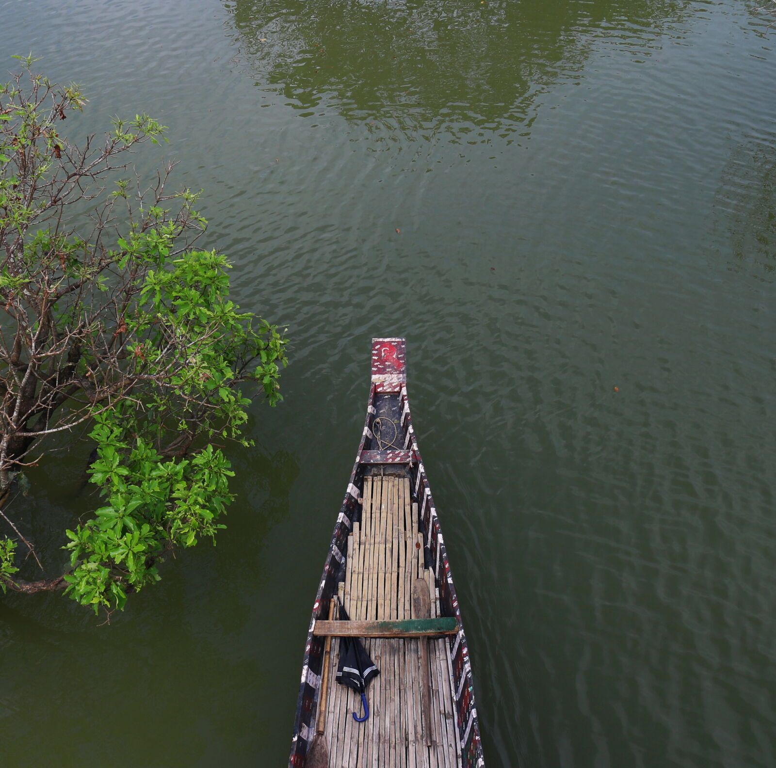 Canon EOS M + Canon EF-M 18-55mm F3.5-5.6 IS STM sample photo. Boat life, ratargul swamp photography