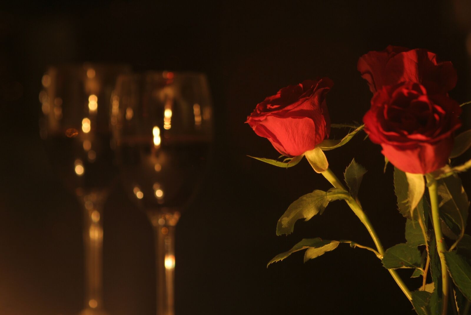 Canon EOS 350D (EOS Digital Rebel XT / EOS Kiss Digital N) sample photo. Romantic dinner, roses, valentine photography