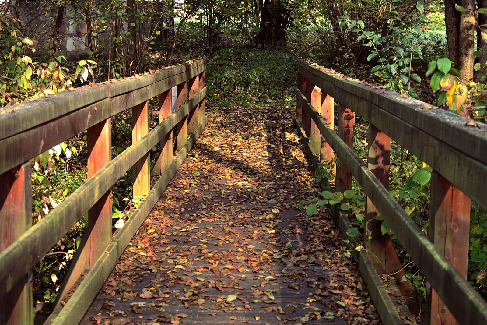 Pentax K-S2 sample photo. Railings, bridge, wooden photography