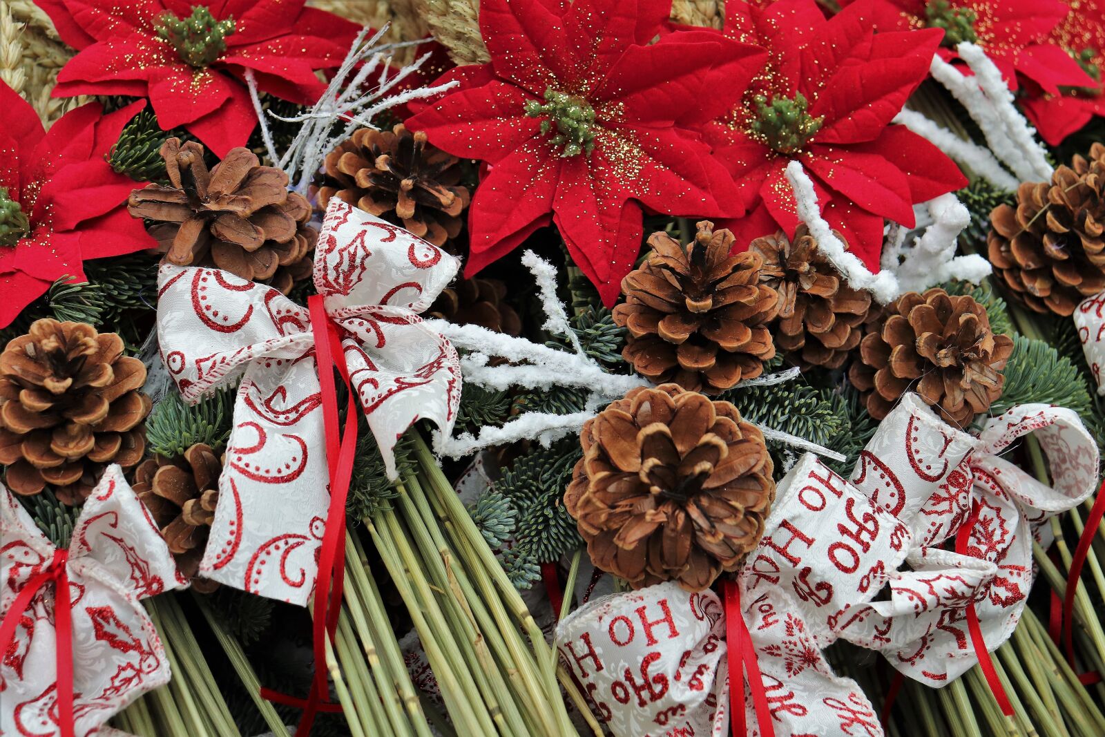 Canon EOS 200D (EOS Rebel SL2 / EOS Kiss X9) sample photo. Christmas decoration, pinecone, fir photography