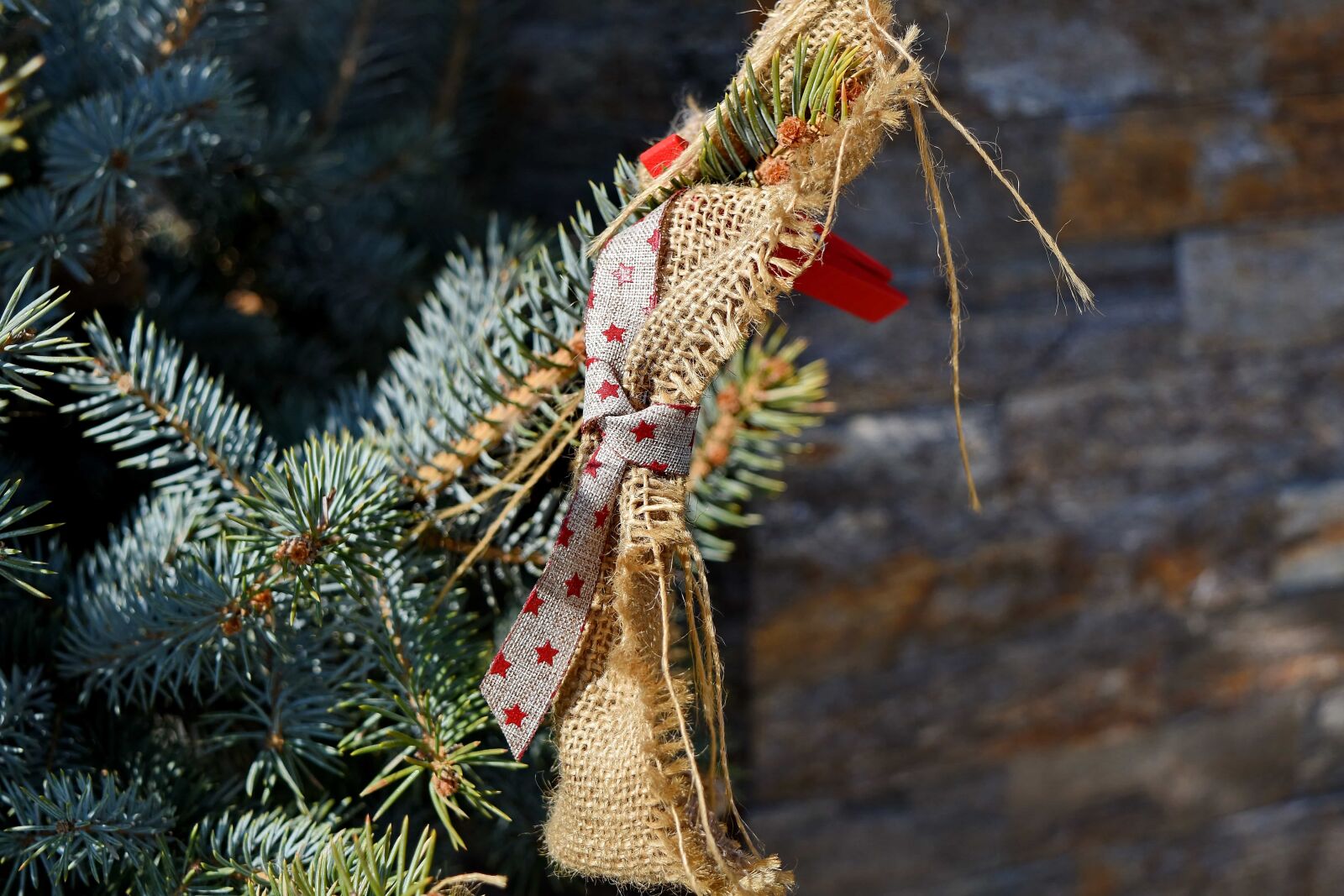 Nikon D5500 sample photo. Tree, winter, christmas, nature photography