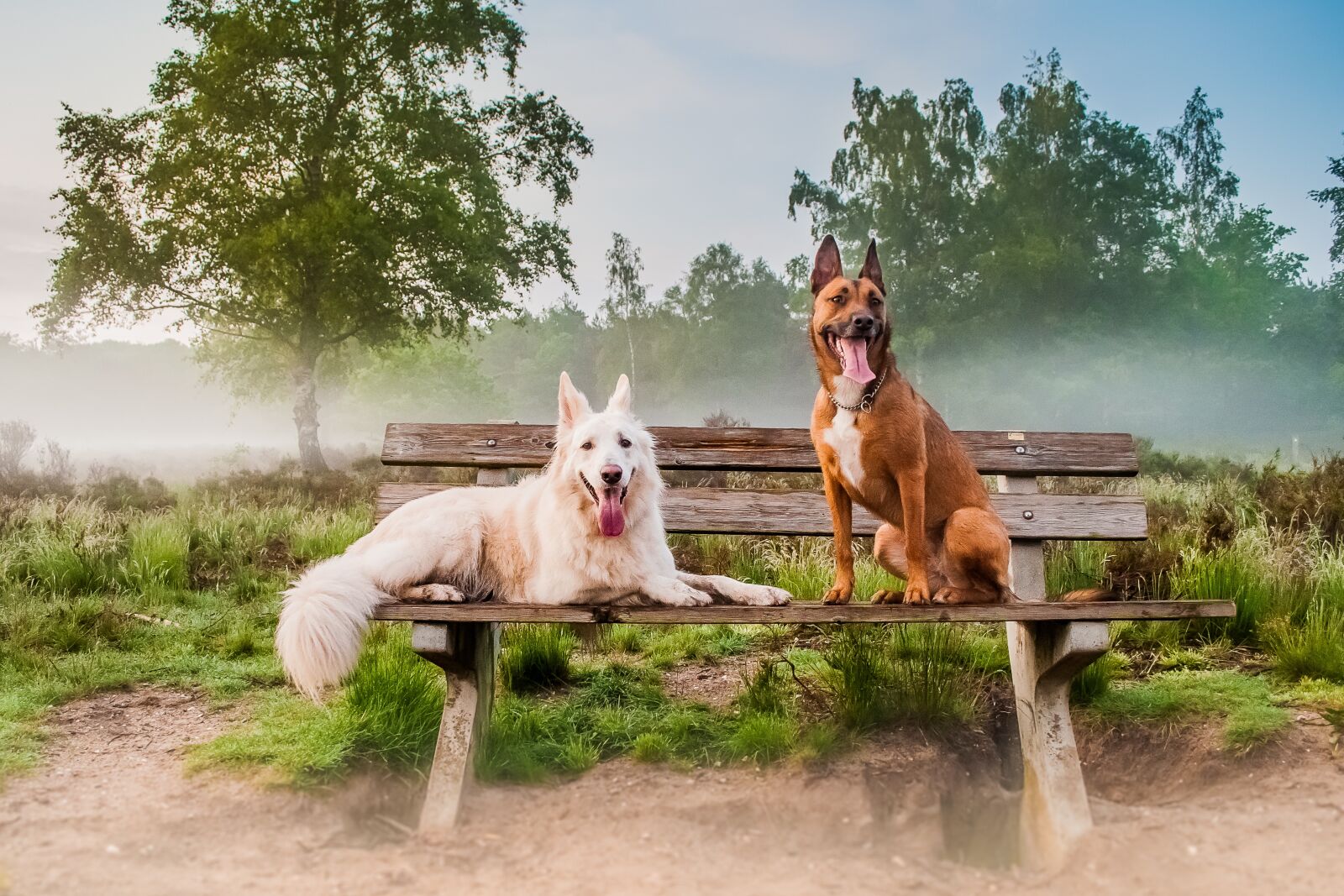 Nikon D300S sample photo. Nature, outdoor, mammals photography