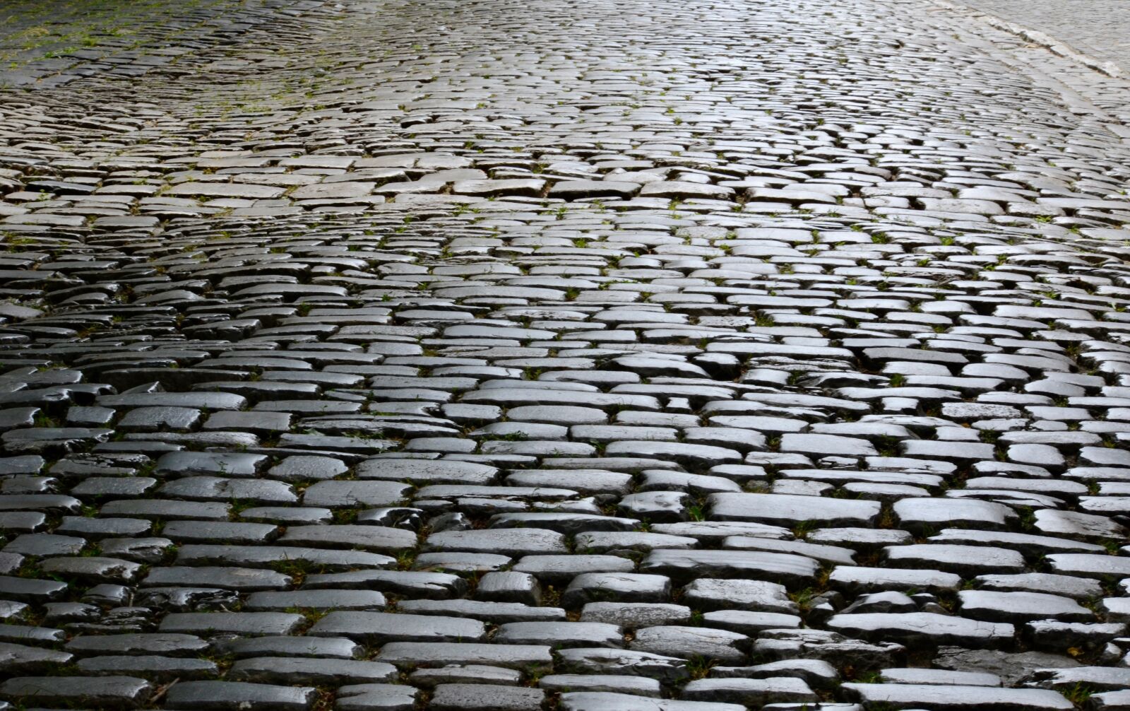 Nikon D5100 sample photo. Cobblestones, road, paving stones photography