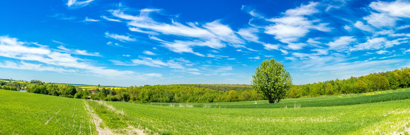 Canon EOS 60D sample photo. Poland, village, field photography