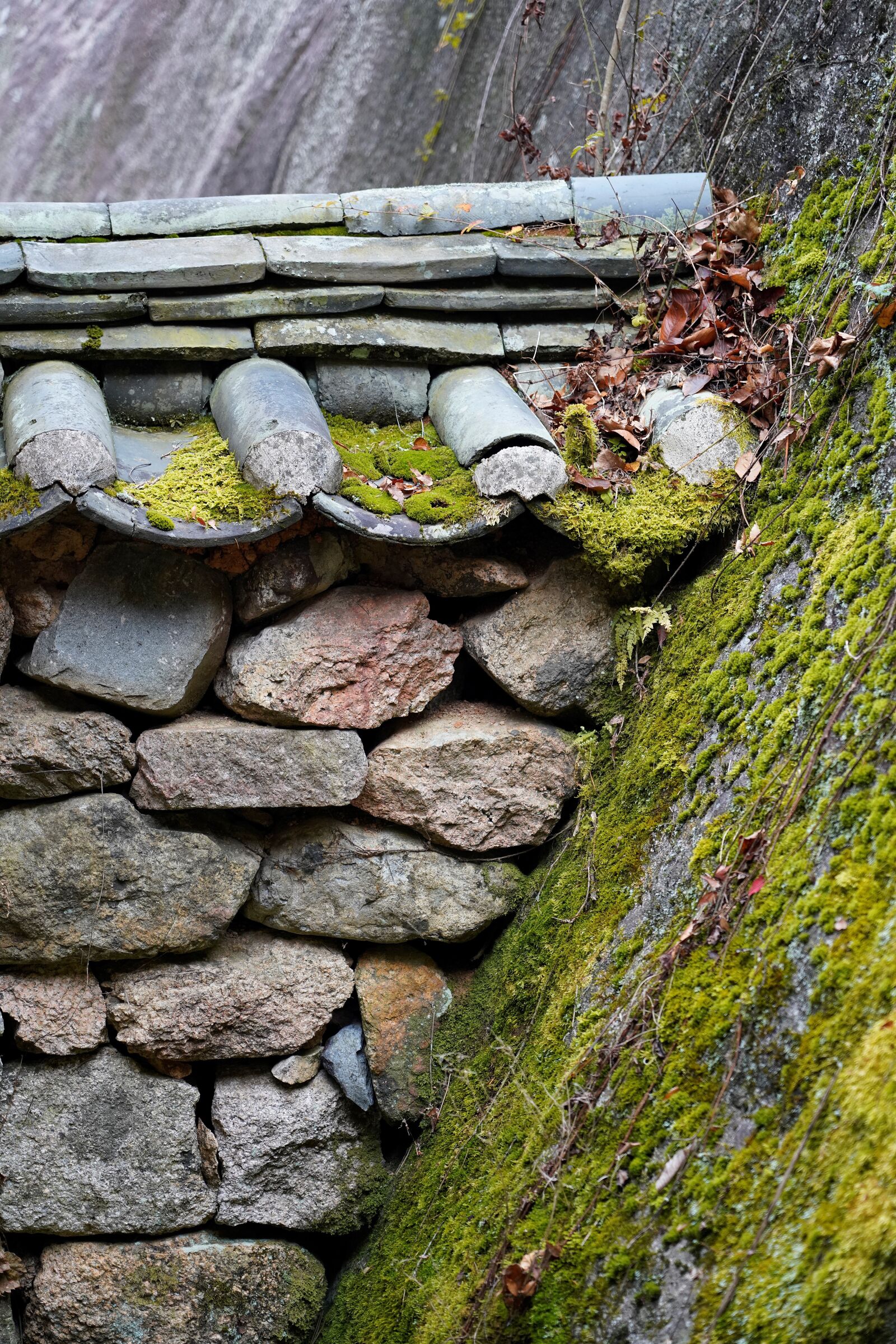 Sony FE 24-105mm F4 G OSS sample photo. Korea, temple, section photography