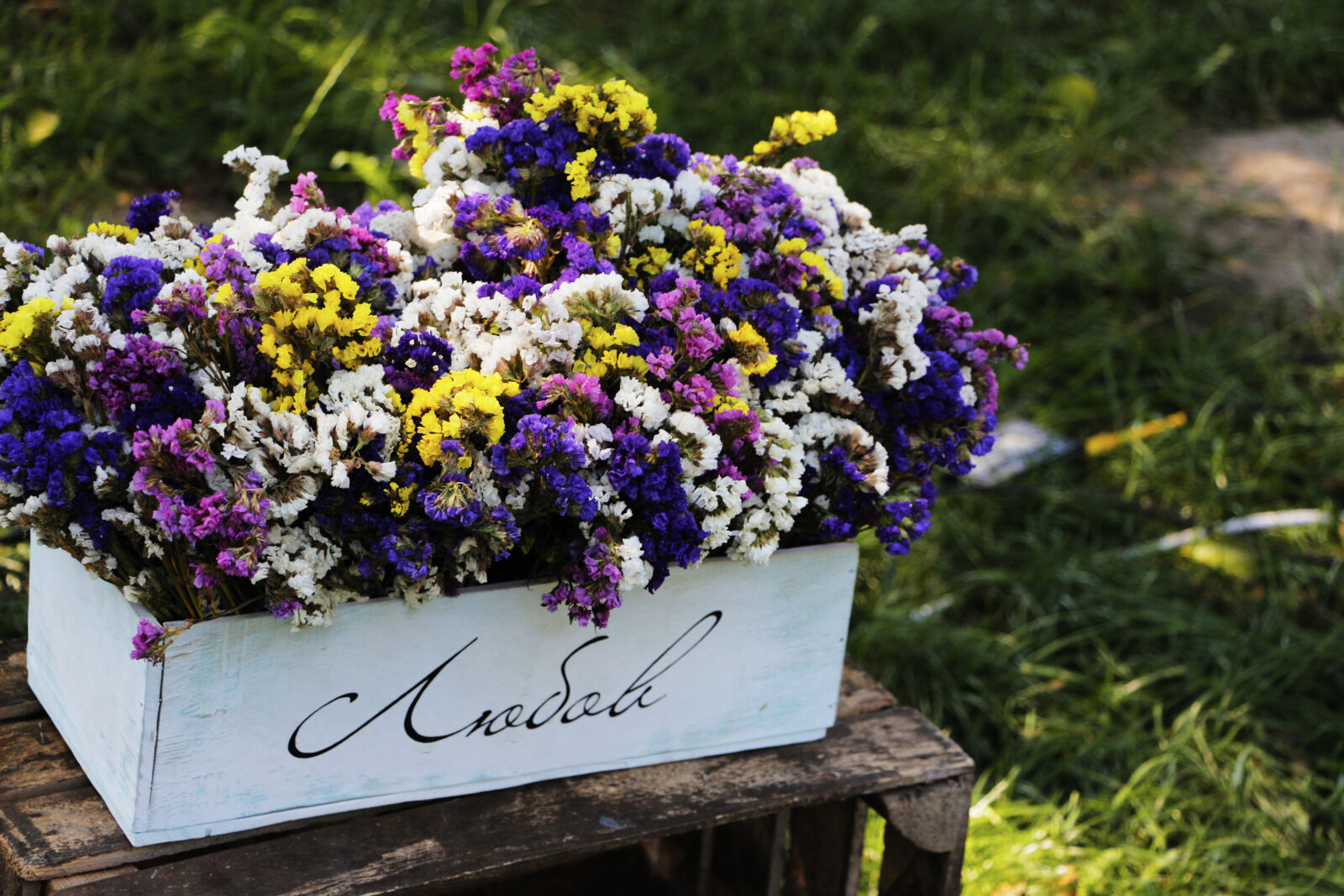 Canon EOS 700D (EOS Rebel T5i / EOS Kiss X7i) sample photo. Close, up, of, purple photography