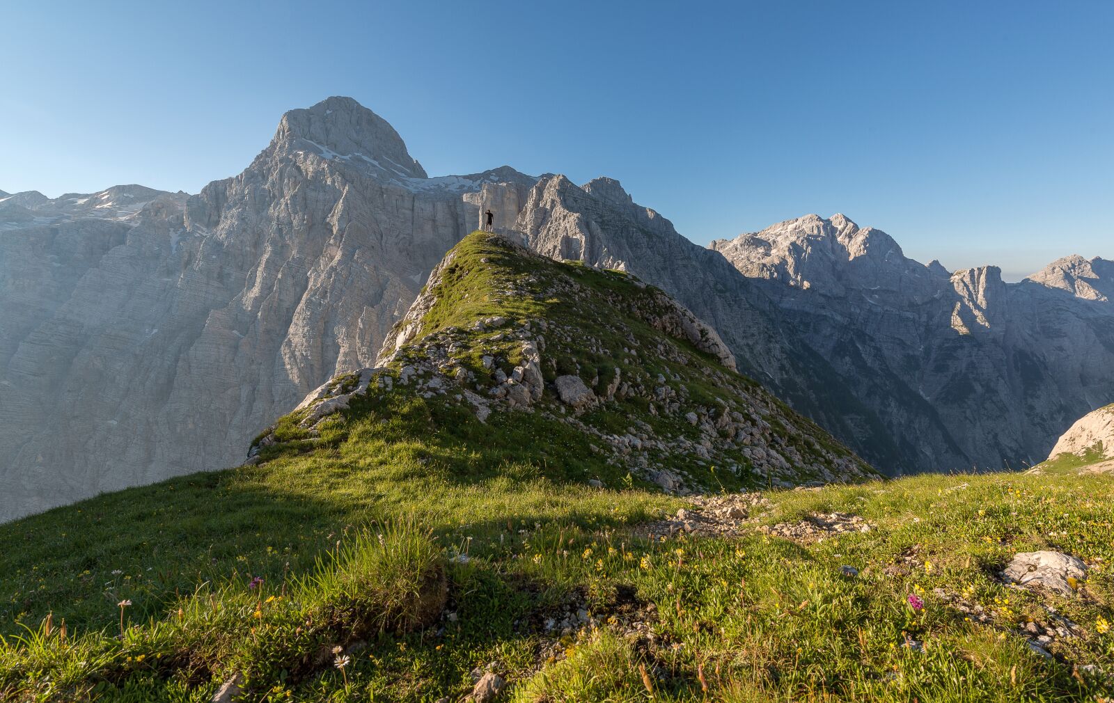 Nikon D800 sample photo. Adventure, climb, grass photography