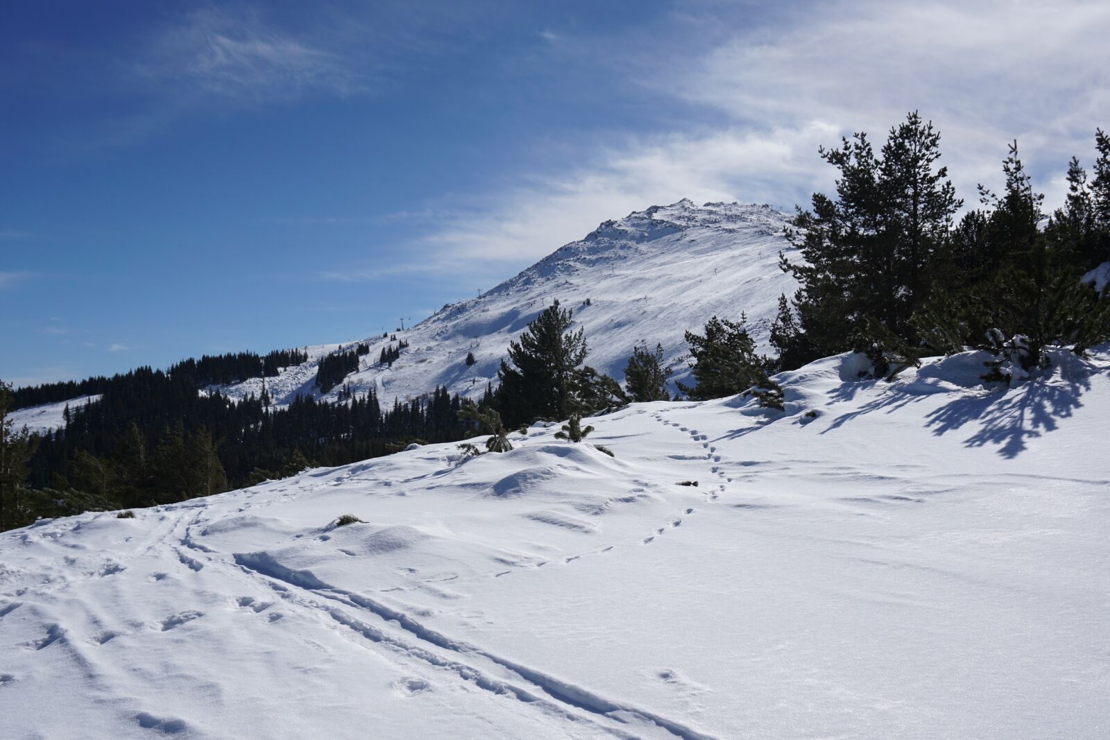 Sony a5100 sample photo. Vitosha, sofia, bulgaria photography