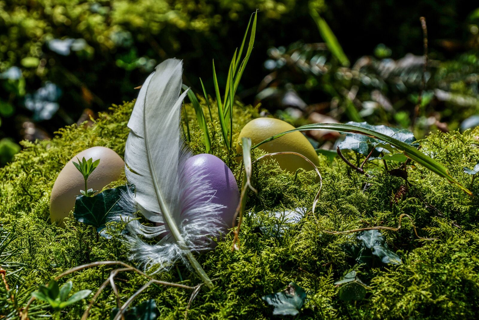 Sony DT 18-135mm F3.5-5.6 SAM sample photo. Easter, easter eggs, spring photography