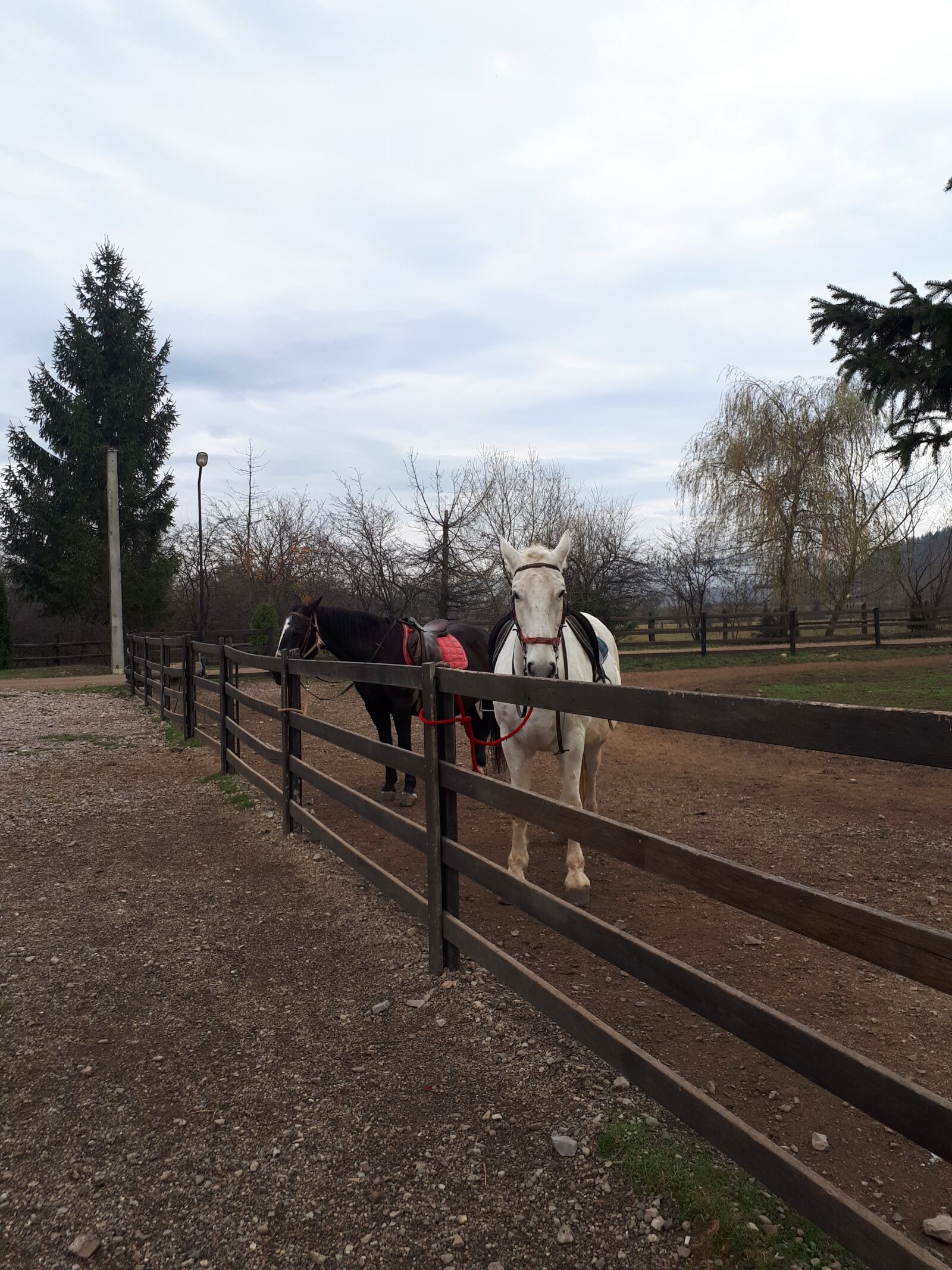 Samsung Galaxy A5(2017) sample photo. Mountain, horses, nature photography