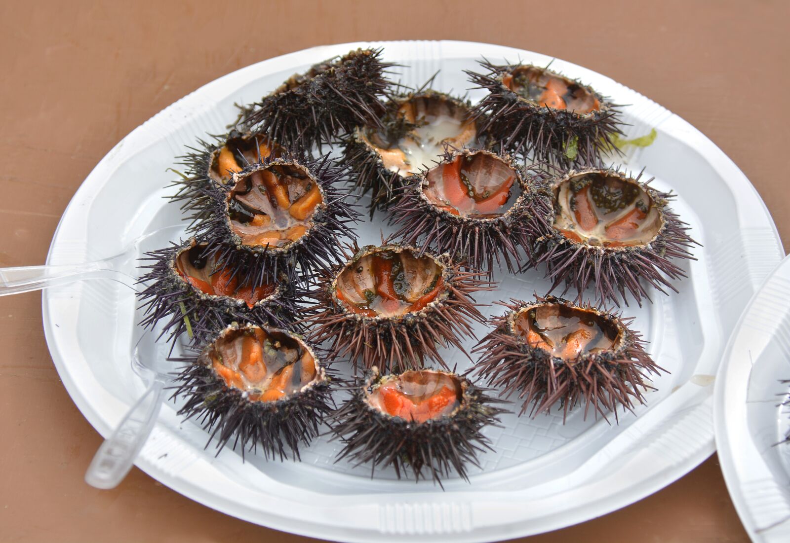 Nikon D7100 sample photo. Seafood, plate, sea urchins photography