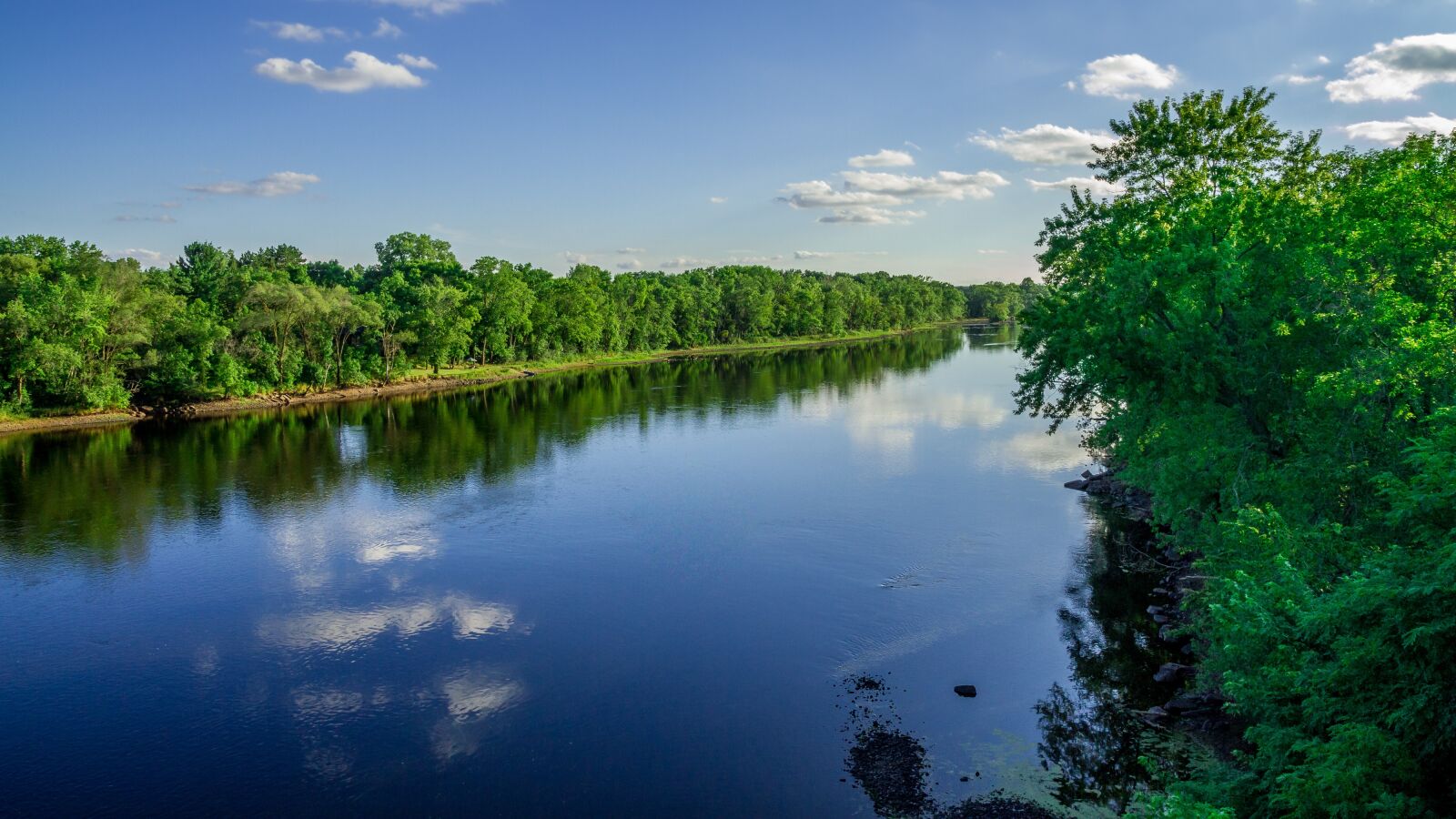 Canon EOS 7D sample photo. River, water, tree photography