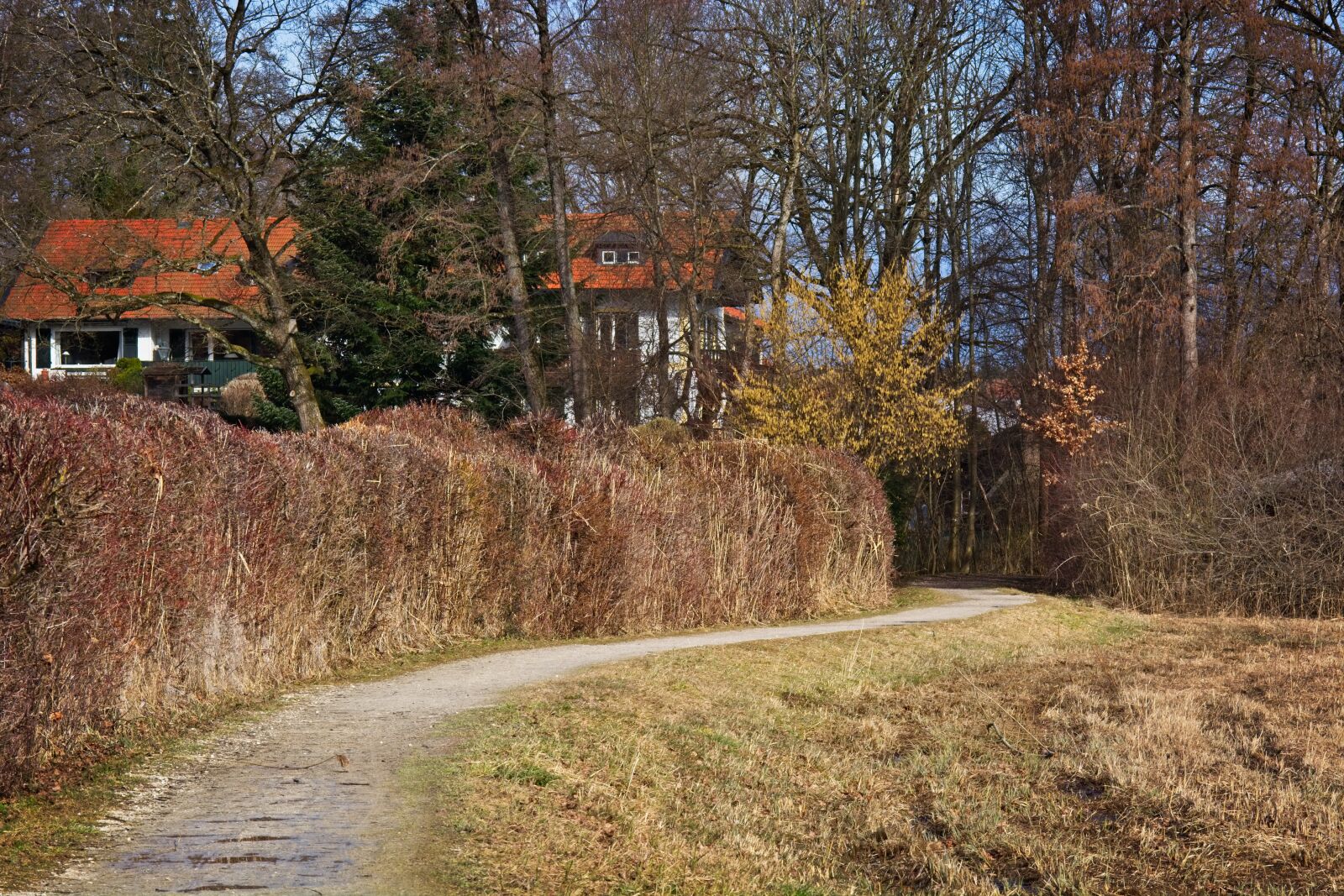 Nikon D7100 sample photo. Promenade, away, path photography