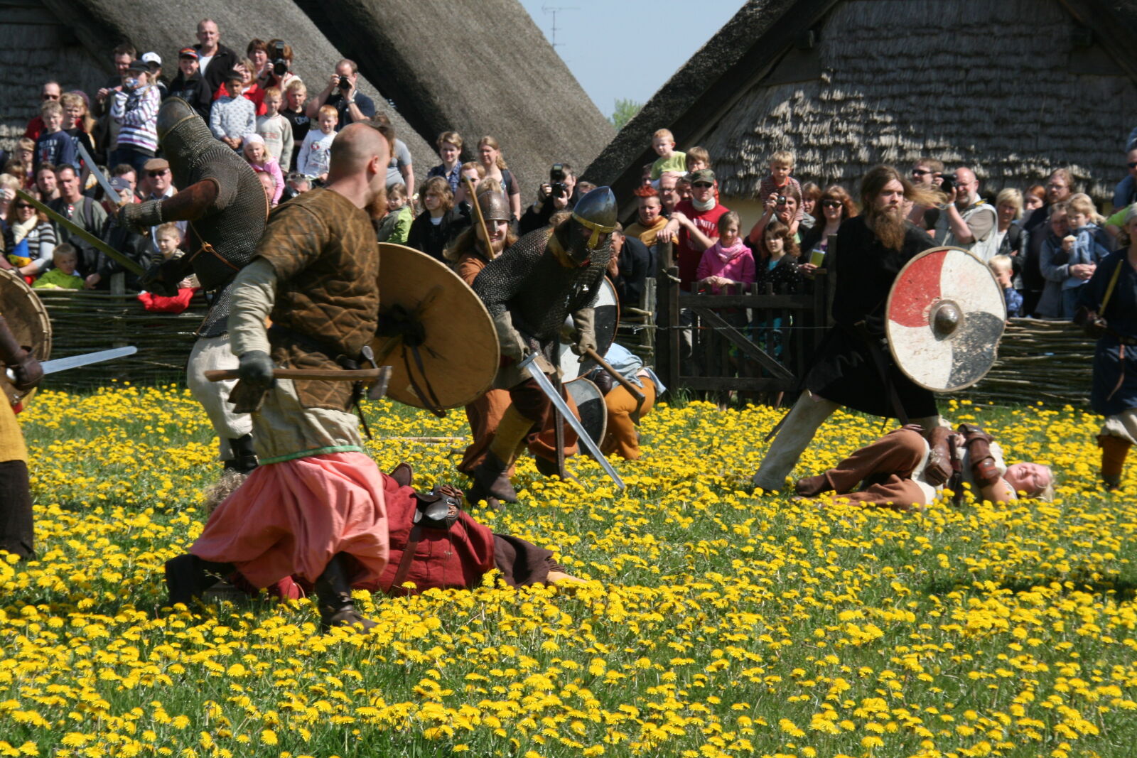 Sigma 18-200mm f/3.5-6.3 DC OS sample photo. Vikings photography