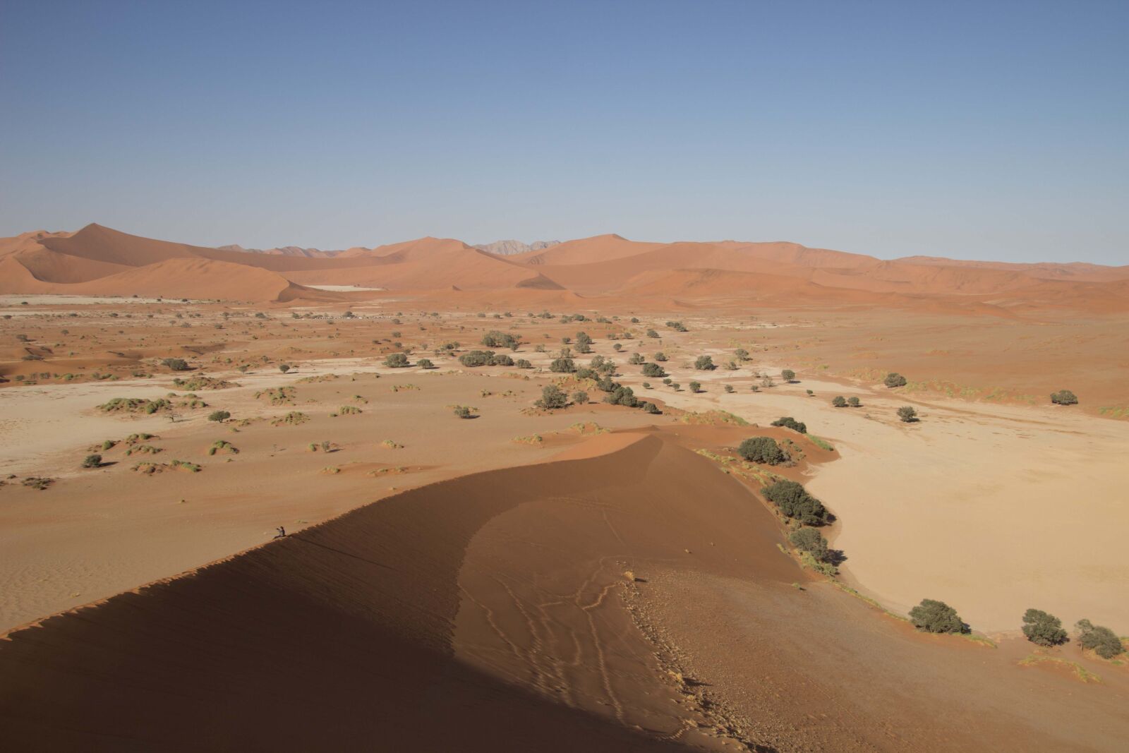 Canon EOS 600D (Rebel EOS T3i / EOS Kiss X5) sample photo. Africa, namibia, namib photography