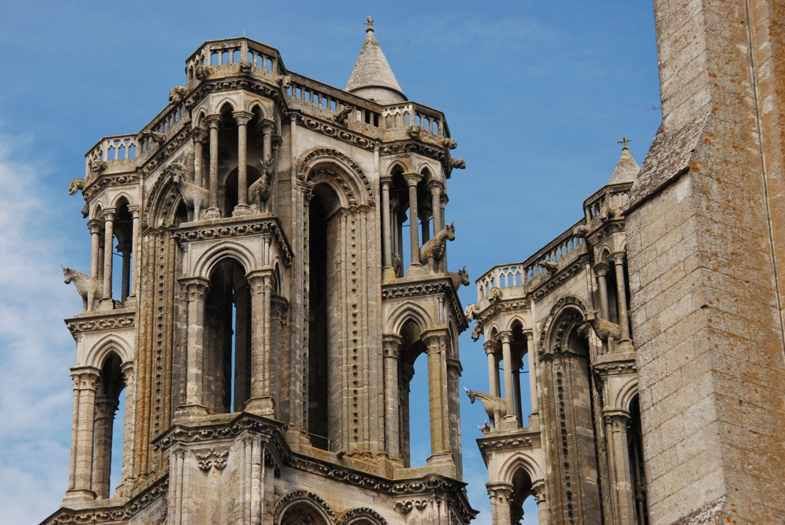 Nikon D80 sample photo. France, laon, cathedral photography