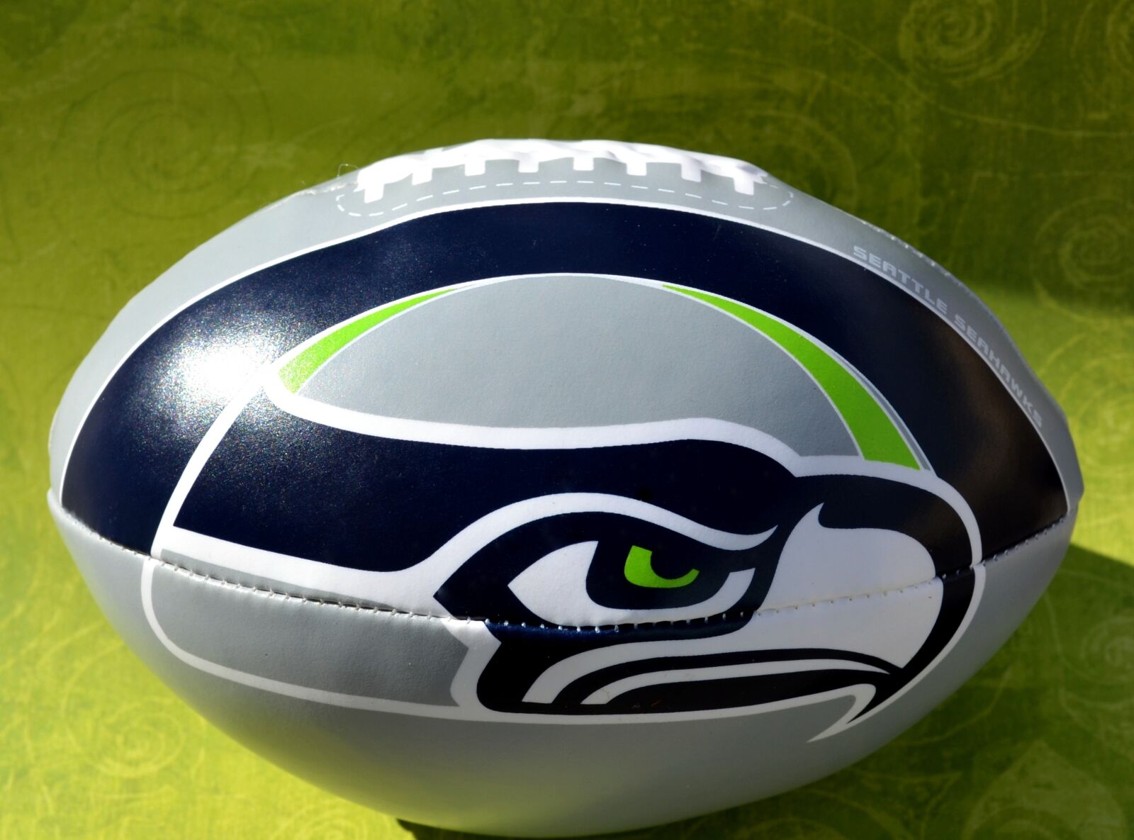 Nikon D5100 sample photo. Seattle, seahawks, seahawk photography