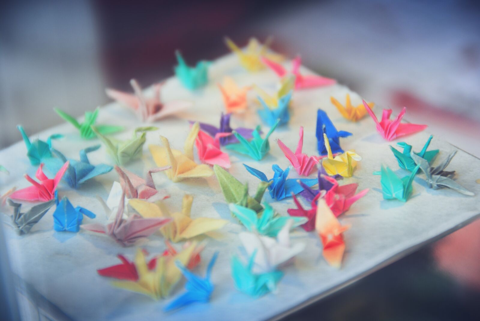 Nikon D40X sample photo. Paper, crane, colorful photography