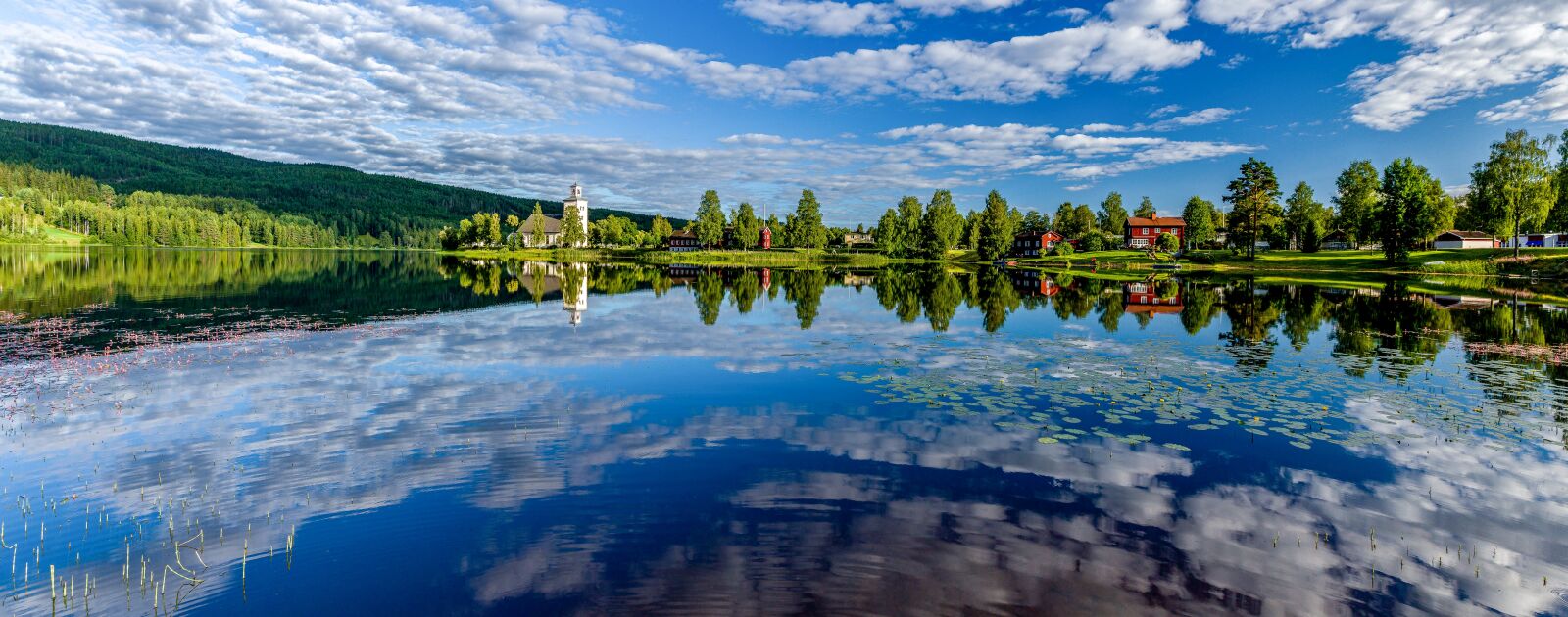 Canon EOS 6D sample photo. Lake, water, lily photography