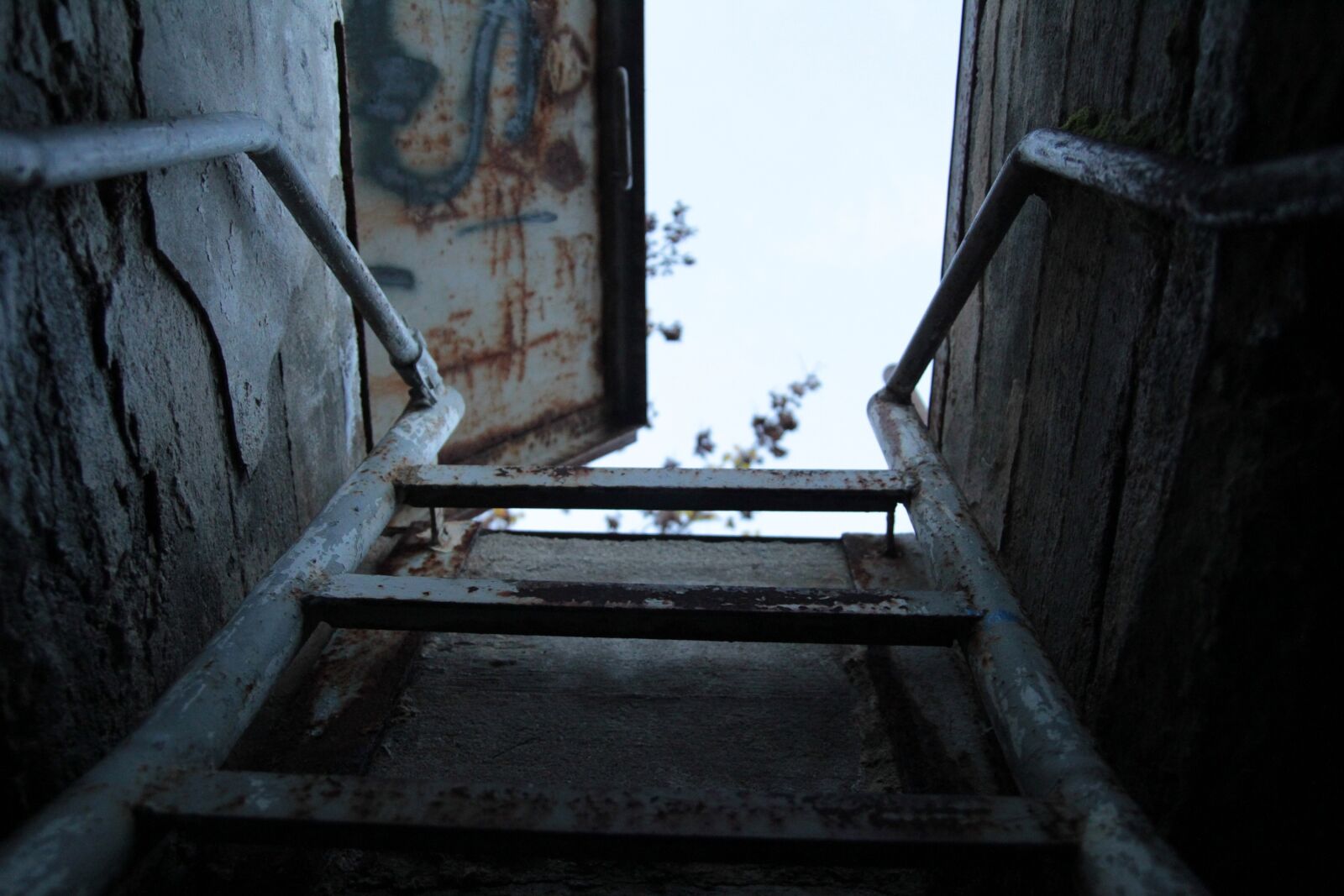 Canon EOS 60D sample photo. Window, dark, light photography