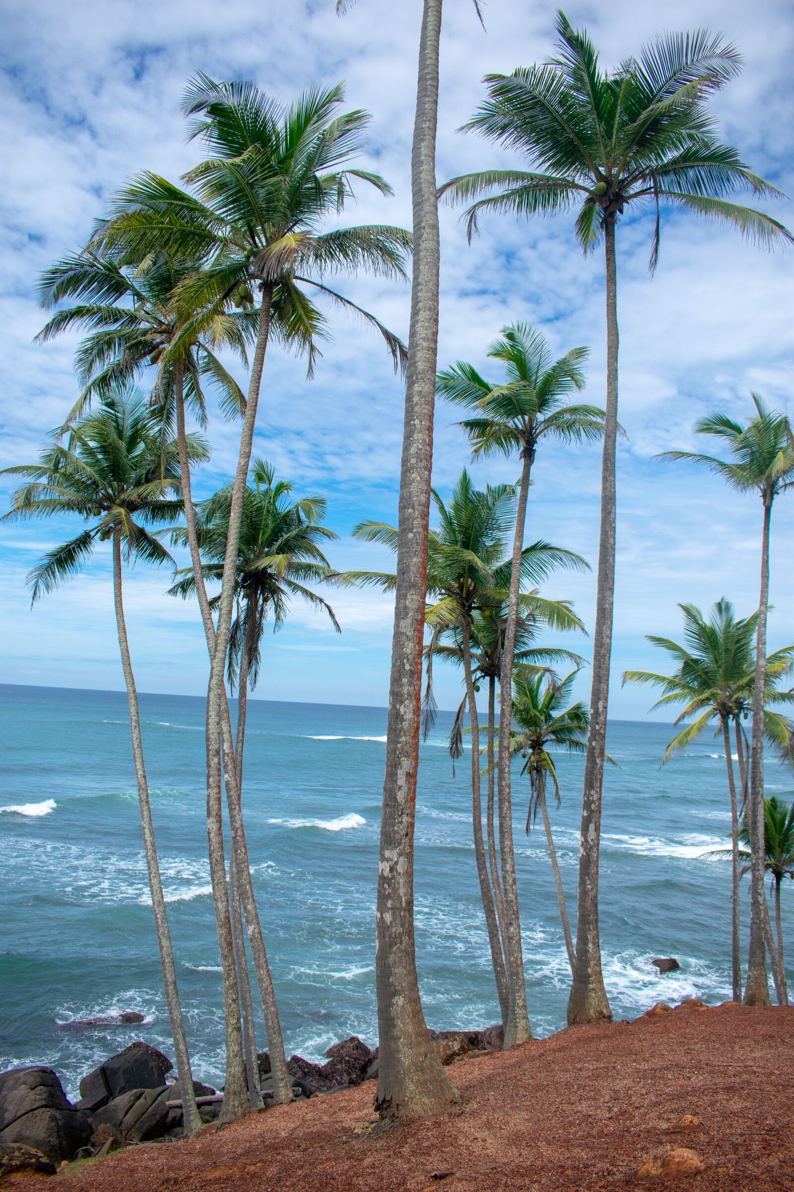 Nikon D3400 sample photo. Sri lanka, exotic, nature photography
