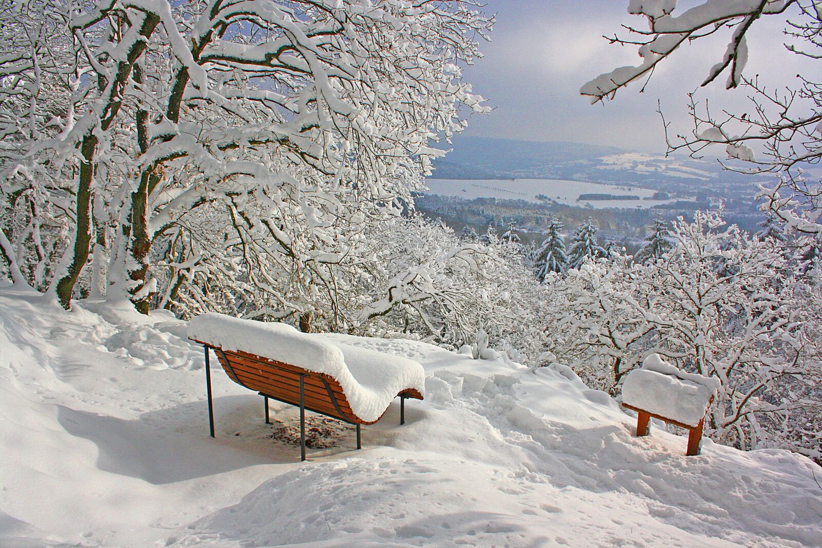 Canon EOS 1000D (EOS Digital Rebel XS / EOS Kiss F) sample photo. Snow, winter, cold photography