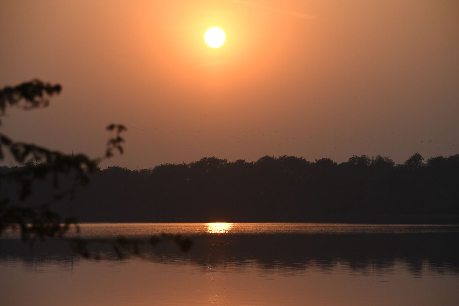 Nikon D500 sample photo. Sunset, delhi, okhla photography