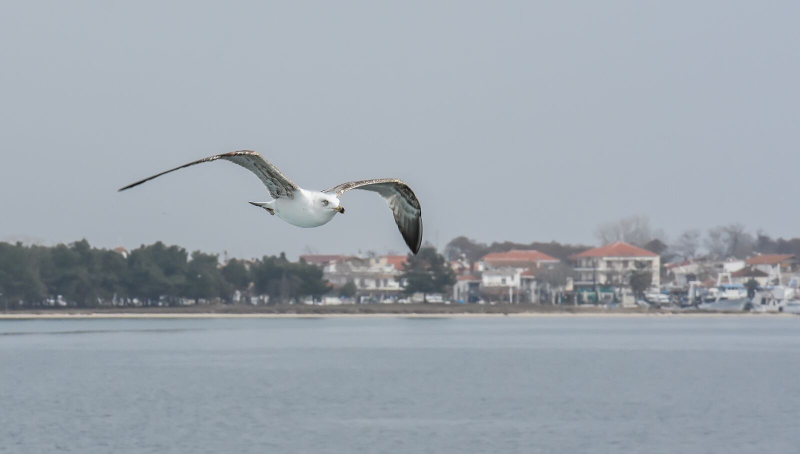 Nikon D7200 sample photo. Ferryboat, thasos, greece photography