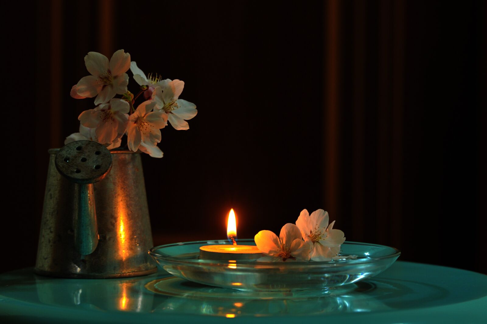 Nikon D700 sample photo. Flowers, cherry blossom, candlelight photography