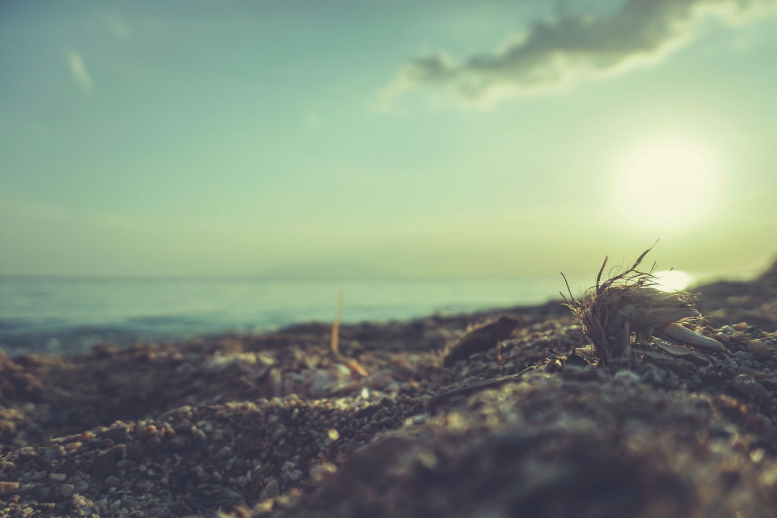 Sony a5100 sample photo. Landscape, nature, sky photography