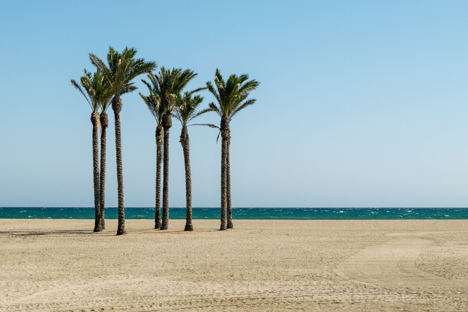 Nikon D3300 sample photo. Beach, palm trees, summer photography
