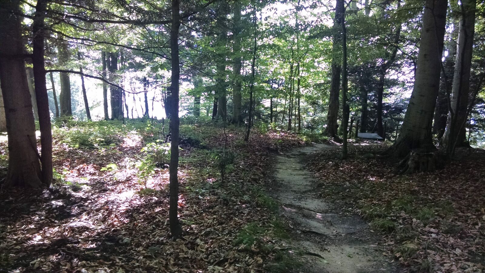 Motorola XT1080 sample photo. Woodsy, scene photography