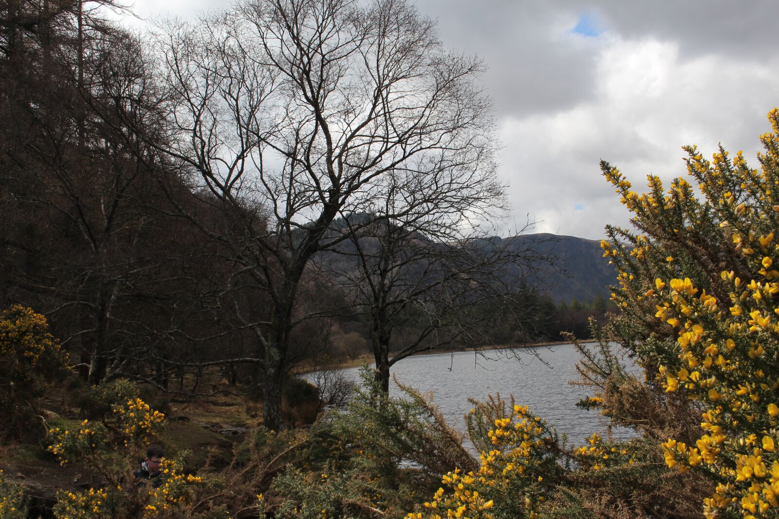 Canon EOS 700D (EOS Rebel T5i / EOS Kiss X7i) sample photo. Nature, glendalough, irish photography