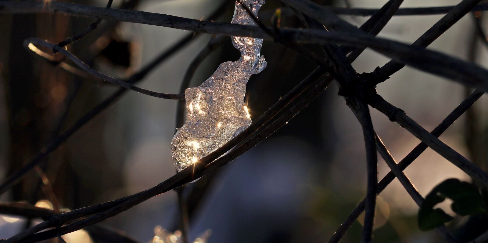 Canon EOS 80D sample photo. Snow, ice, forest photography