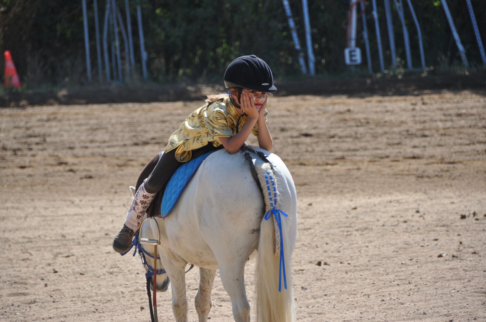 Nikon D90 sample photo. Horse, animals, show photography