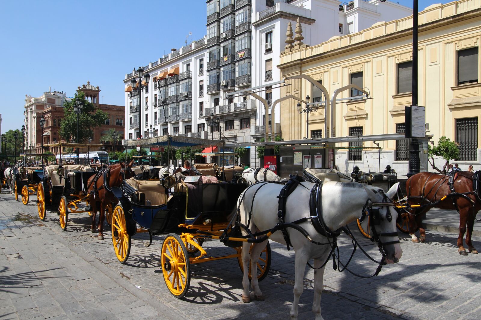 Canon EOS 700D (EOS Rebel T5i / EOS Kiss X7i) sample photo. Seville, andalusia, spain photography