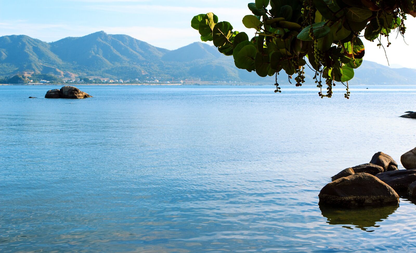 Canon EOS 600D (Rebel EOS T3i / EOS Kiss X5) sample photo. The sea, than, pallet photography