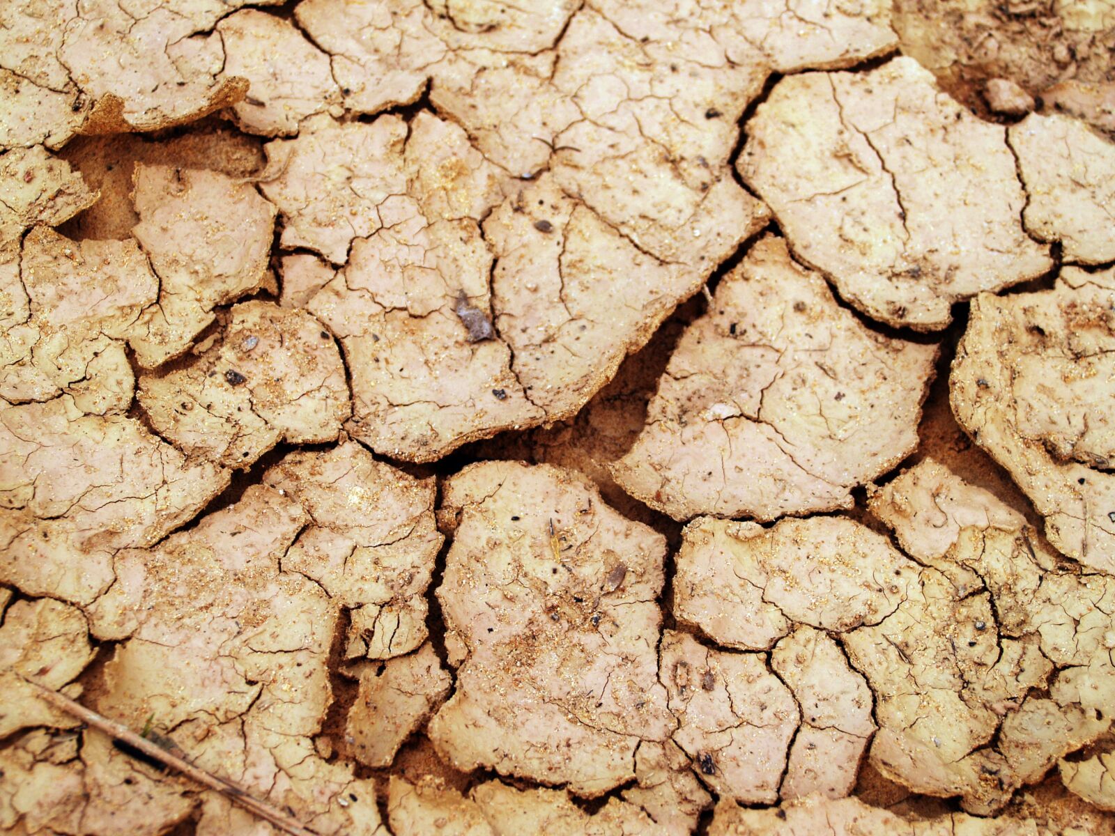 Olympus E-300 (EVOLT E-300) sample photo. Arid, clay, close, up photography