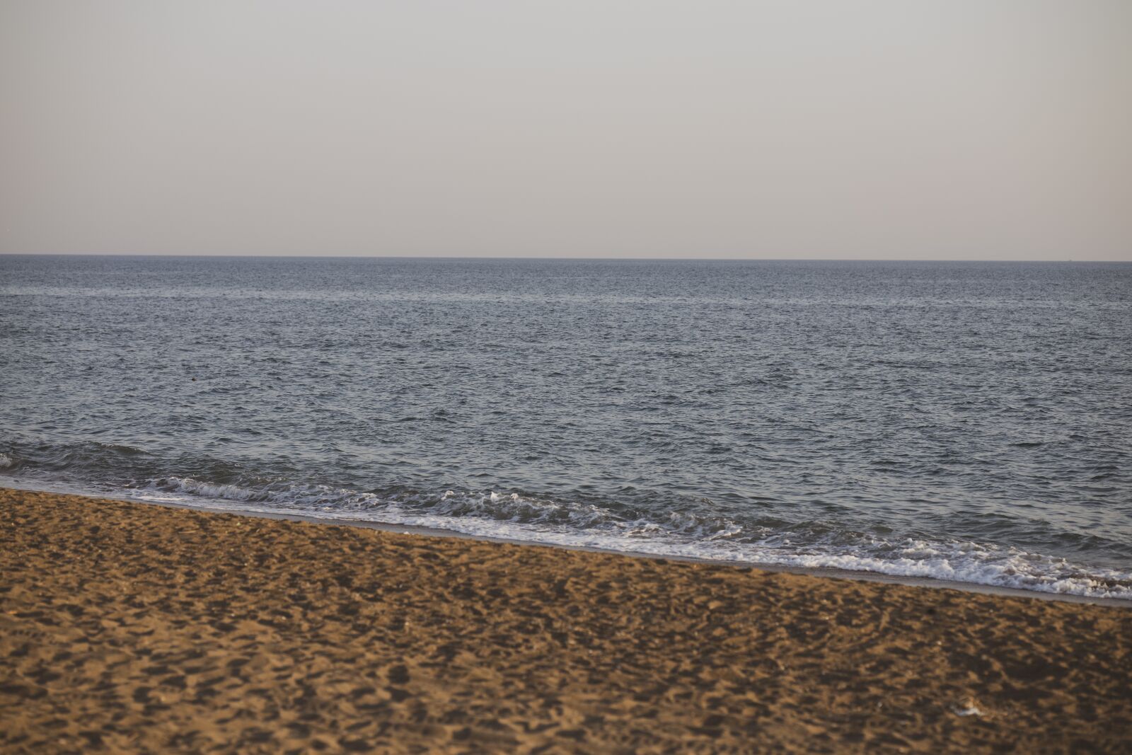 Canon RF 85mm F1.2L USM sample photo. Marine, beach, landscape photography