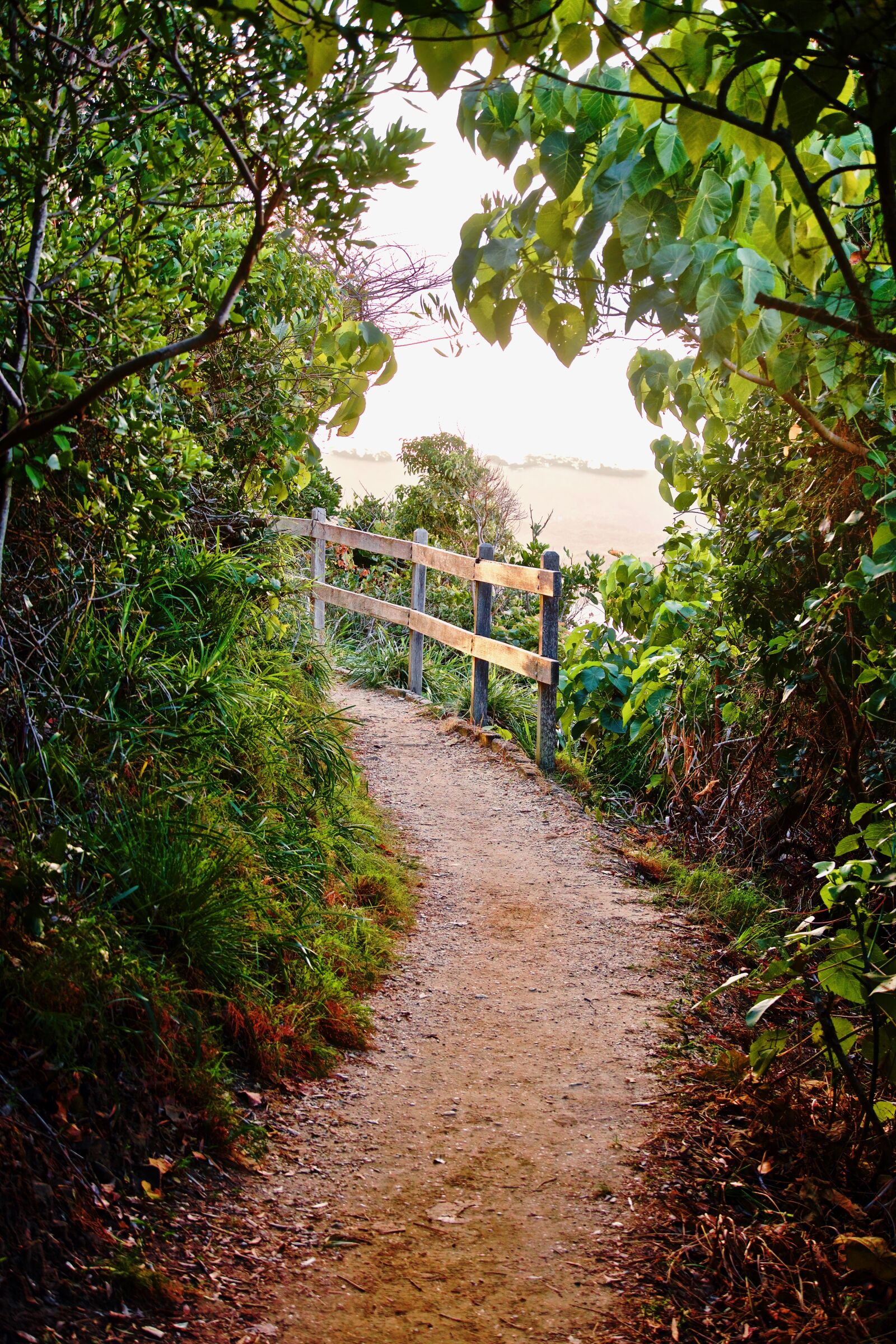 Sony E 18-135mm F3.5-5.6 OSS sample photo. Path, track, railing photography