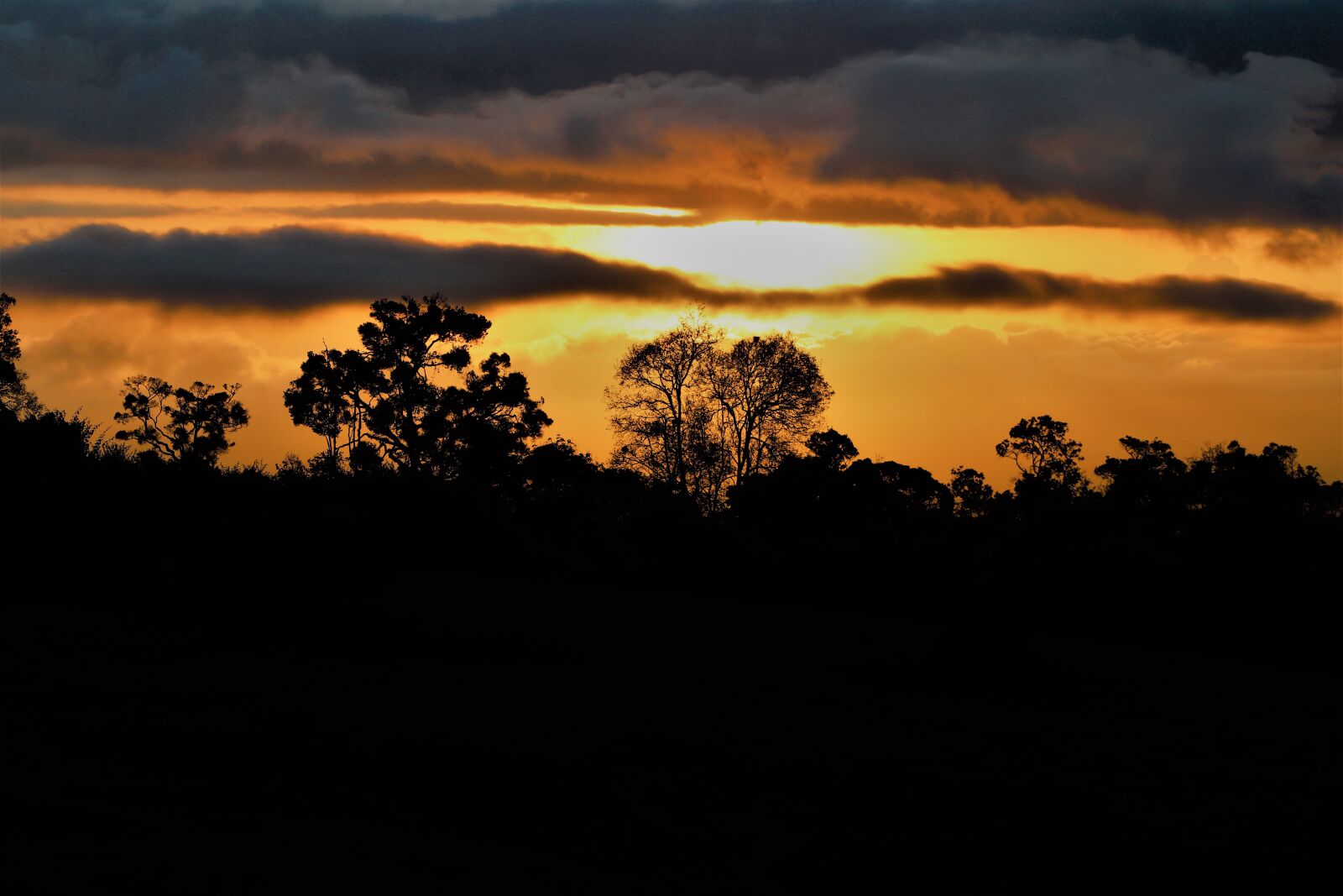Canon EOS 77D (EOS 9000D / EOS 770D) sample photo. African, sky, kenya photography