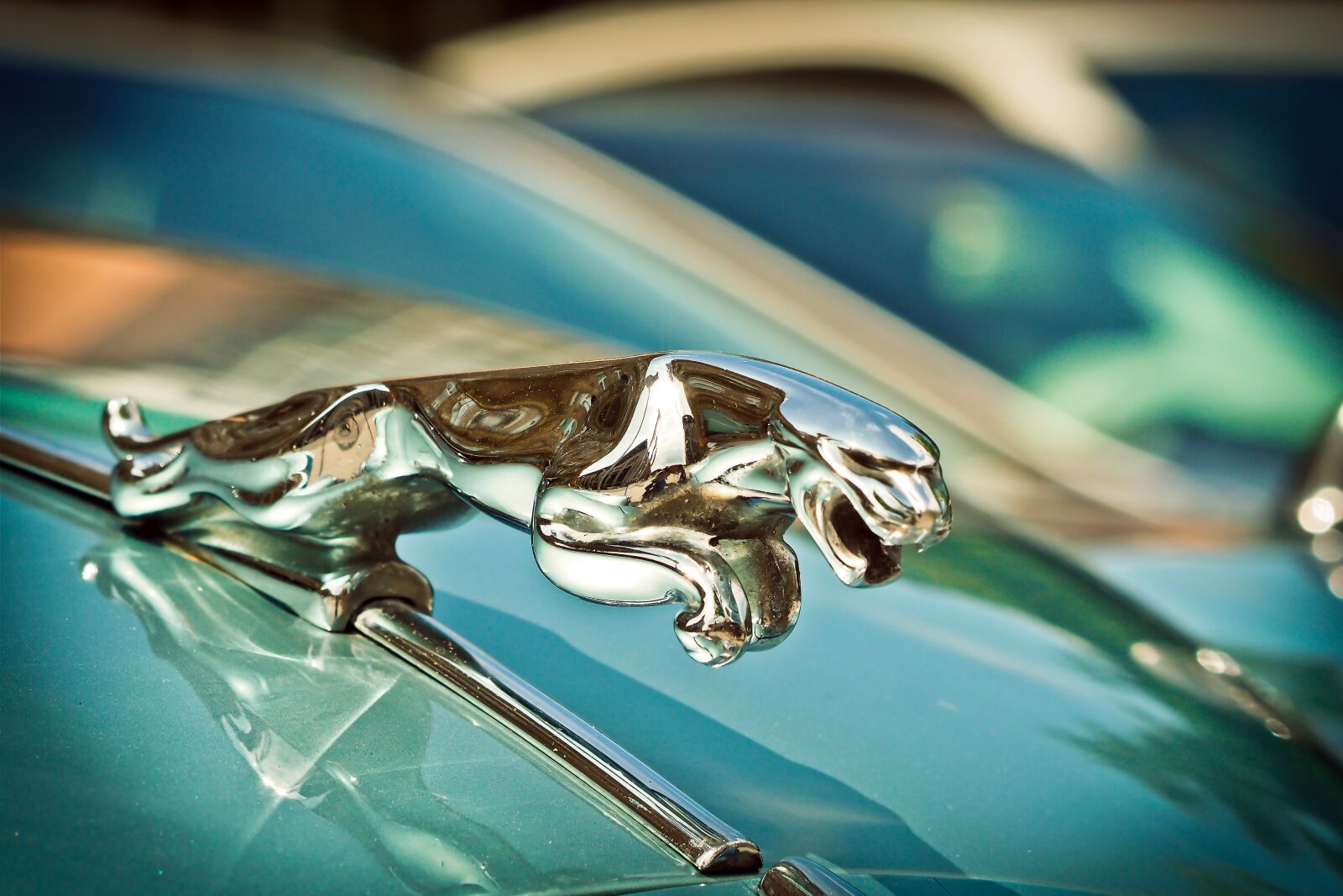 Olympus OM-D E-M10 sample photo. Auto, jaguar xk, automotive photography