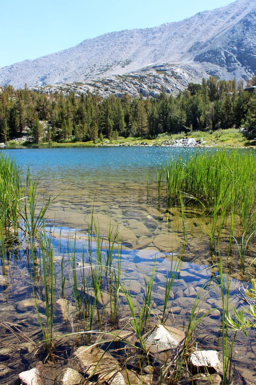 Canon EOS REBEL T6 Canon EFS 1855mm f/3.55.6 IS II Sample Photo jcSEciQN9Z