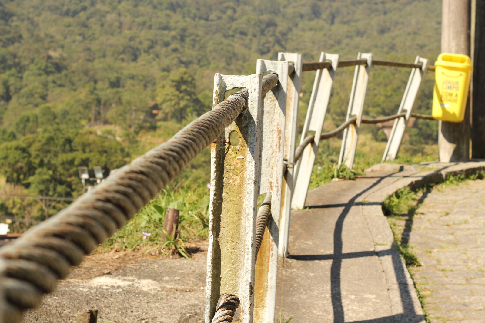 Canon EOS 550D (EOS Rebel T2i / EOS Kiss X4) sample photo. Adobe, photoshop, apple, brasil photography