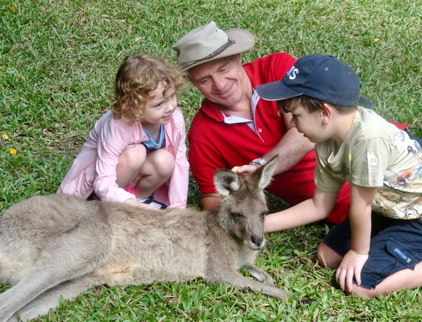 Sony Cyber-shot DSC-HX90V sample photo. Kangaroo, family, wildlife photography