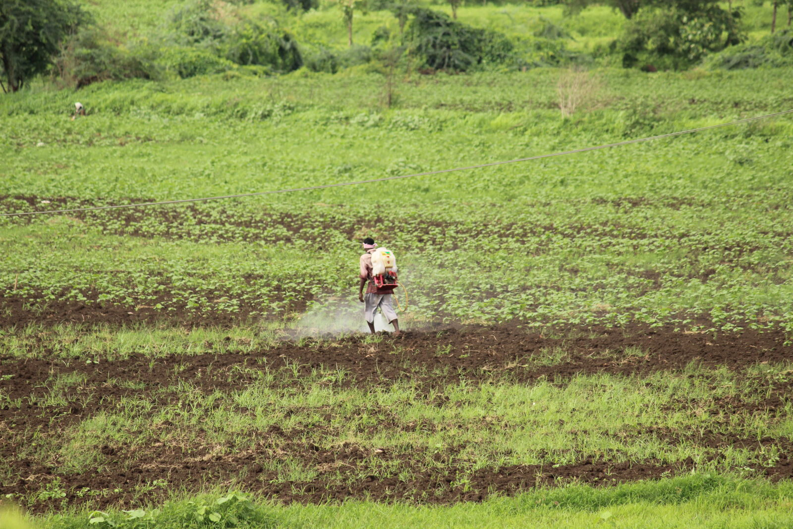 Canon EOS 1300D (EOS Rebel T6 / EOS Kiss X80) sample photo. Farmer photography