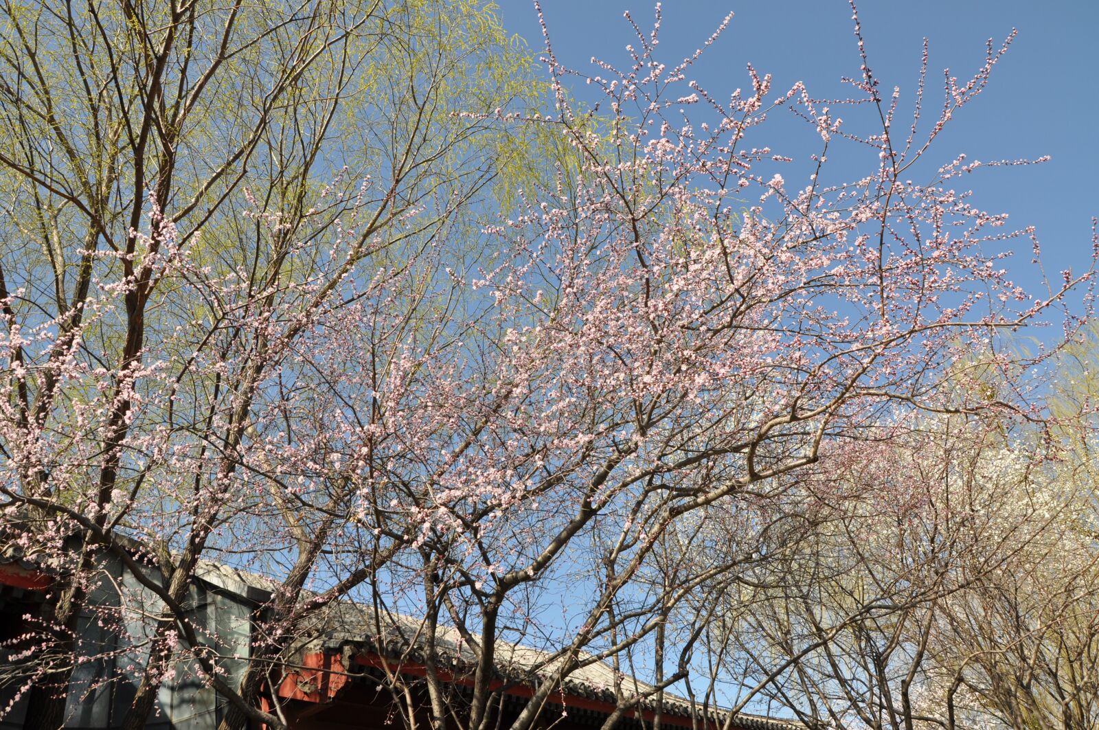 Nikon D90 sample photo. The scenery, natural, cloud photography