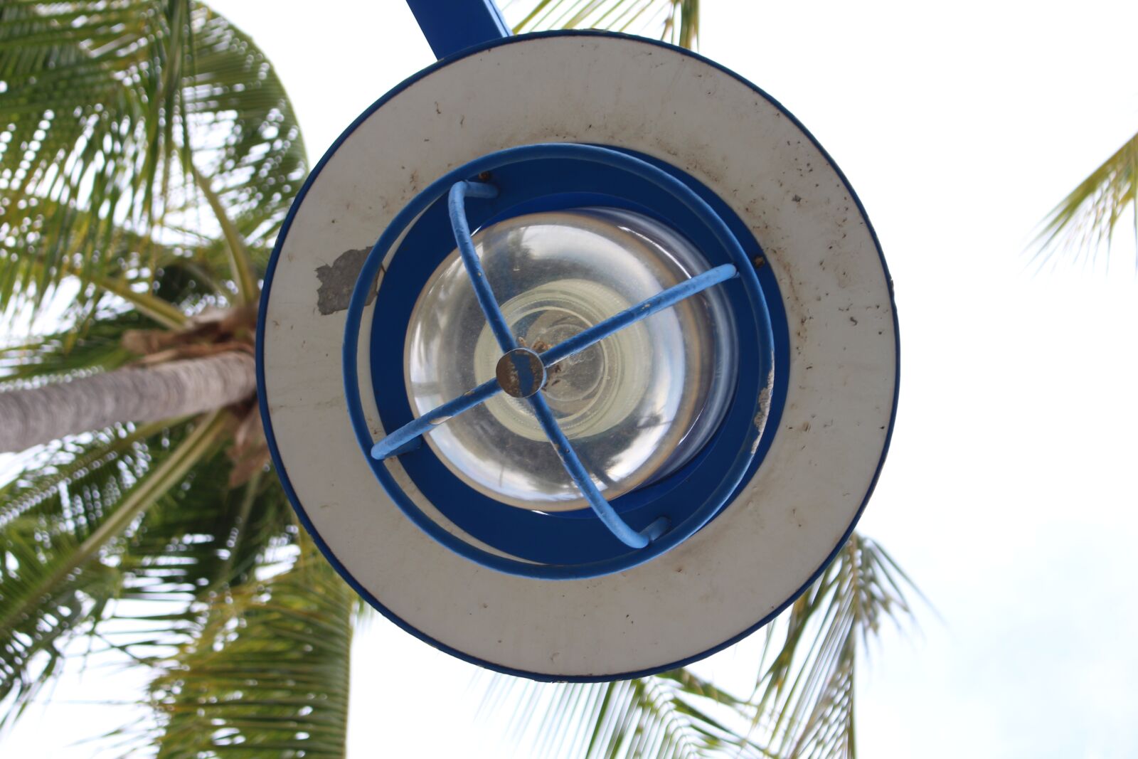 Canon EOS 700D (EOS Rebel T5i / EOS Kiss X7i) sample photo. Bulb, palm tree, beach photography