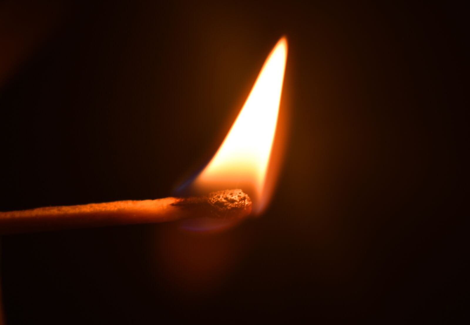 Nikon D3400 sample photo. Fire, match, flame photography